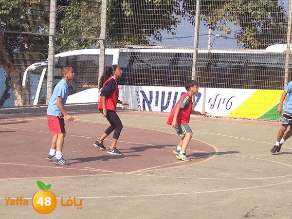 dawry kora shamela 1123 (5).JPG